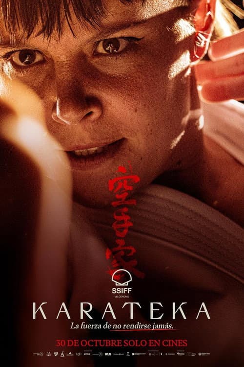 Karateka poster