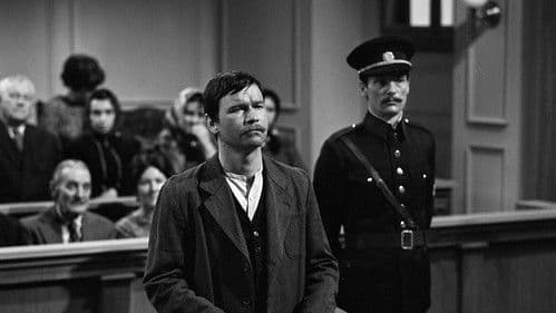 Zločin v chalupě poster