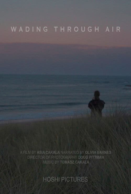 Wading Through Air poster