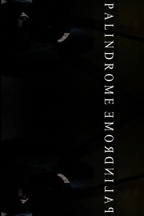 PalindromeemordnilaP poster