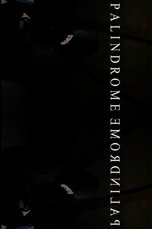 PalindromeemordnilaP poster