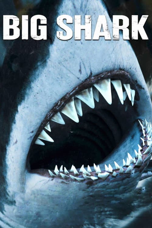 Big Shark poster