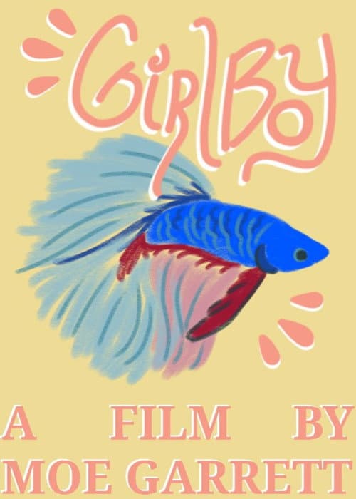 Girlboy poster