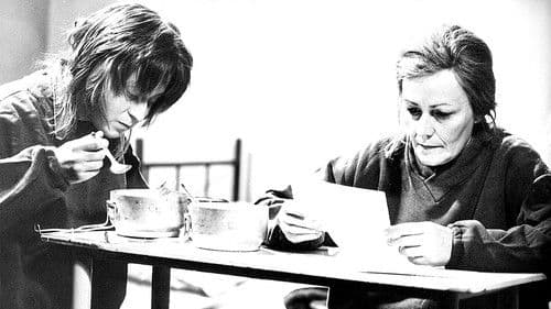 Zatmění všech sluncí poster