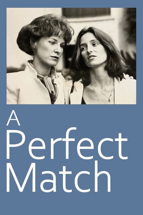 A Perfect Match poster