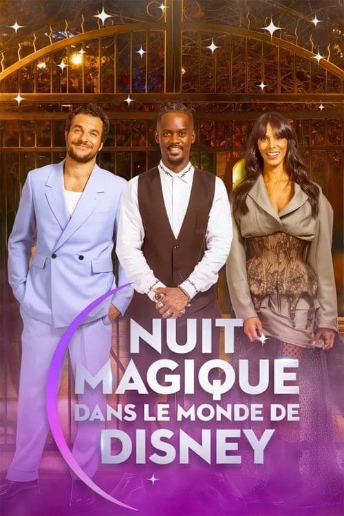 Magical Night in Disney World poster