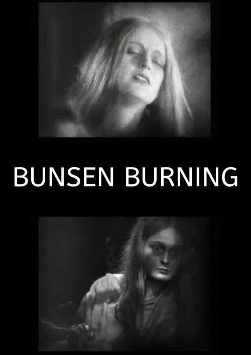 Bunsen Burning poster