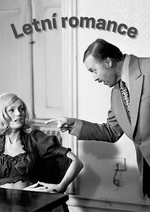 Letní romance poster