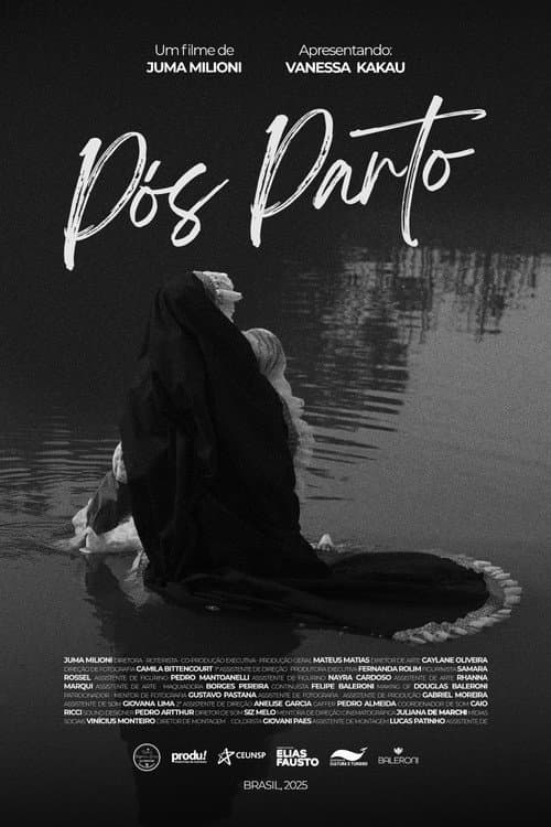Pós Parto poster