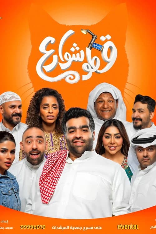 قطو شوارع poster
