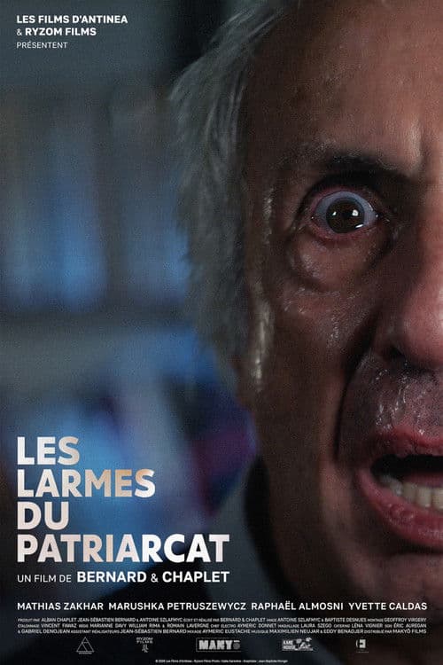 Les Larmes du Patriarcat poster