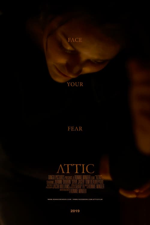 Attic poster