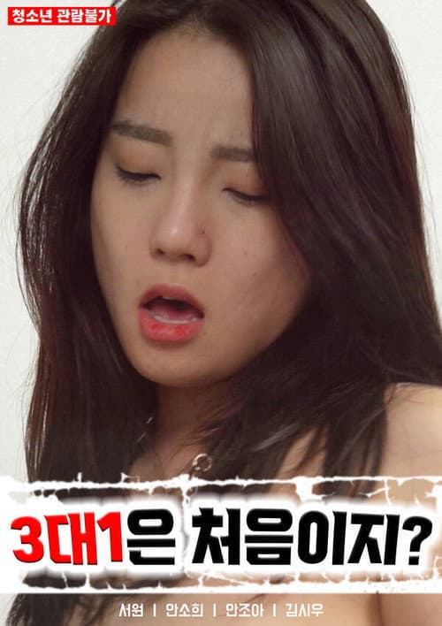 3대 1은 처음이지? poster