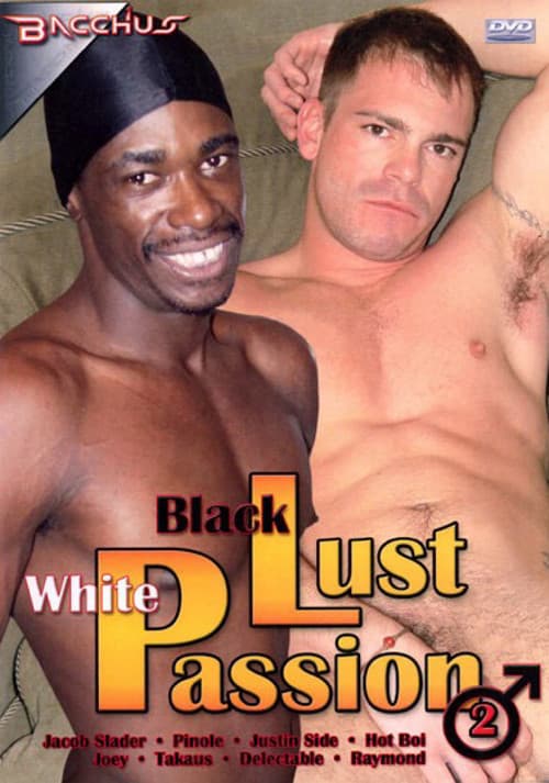 Black Lust White Passion 2 poster