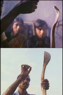 Serpent Mother poster