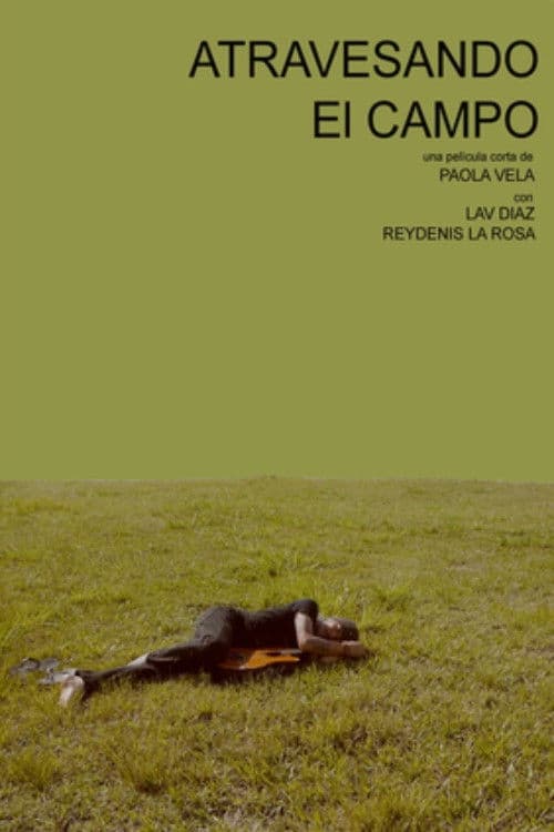 Atravesando el campo poster