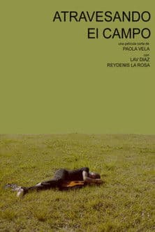 Atravesando el campo poster