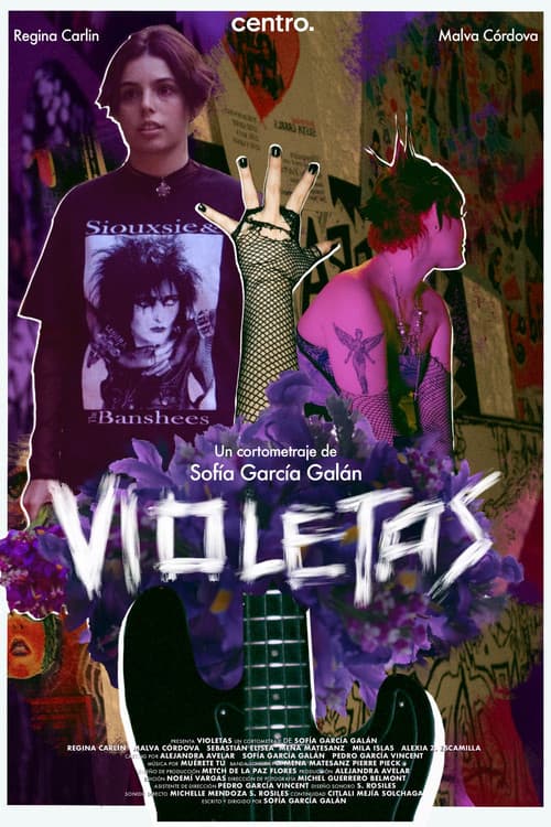 Violetas poster