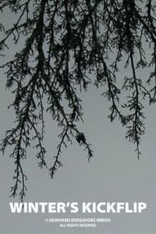 Winter's Kickflip poster