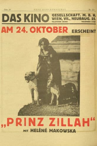 Il principe Zilah poster