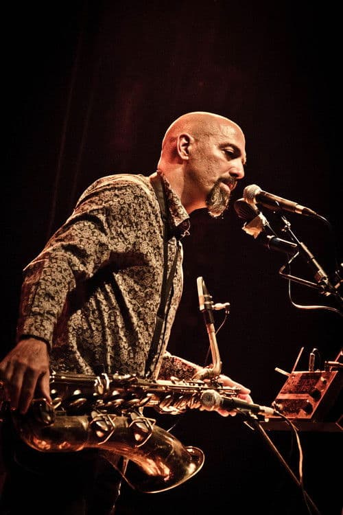 Dana Colley profile photo