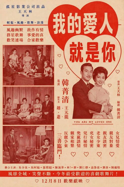 我的爱人就是你 poster