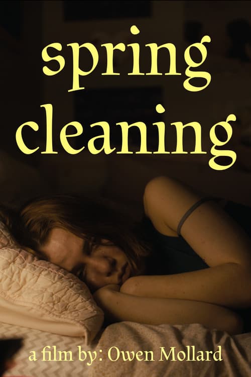 Spring Cleaning poster
