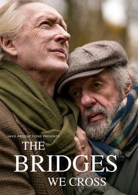 The Bridges We Cross poster
