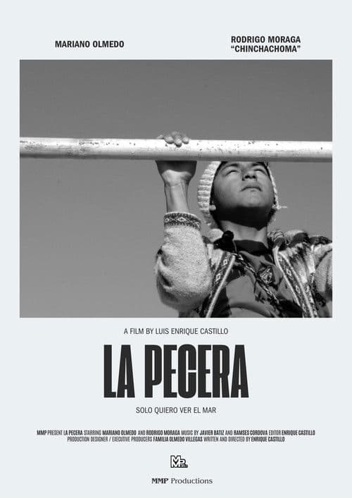 La Pecera poster