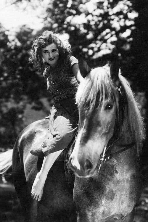 Pohádka máje poster