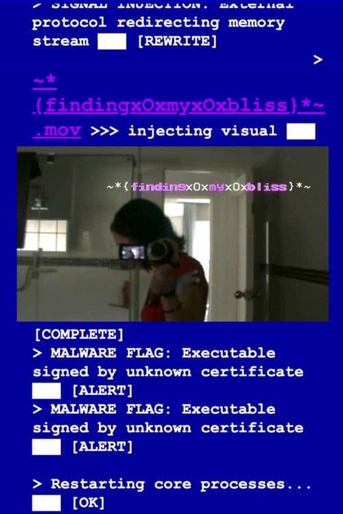 ~*{findingxOxmyxOxbliss}*~ poster