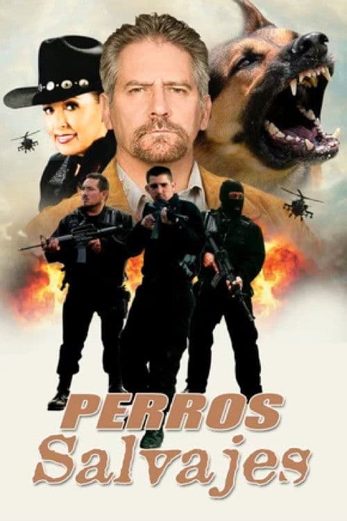 Perros salvajes poster