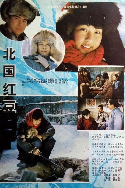 Bei guo hong dou poster