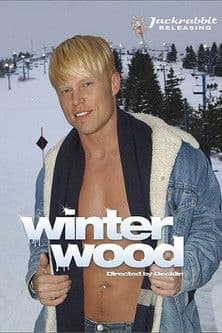 Winter Wood poster