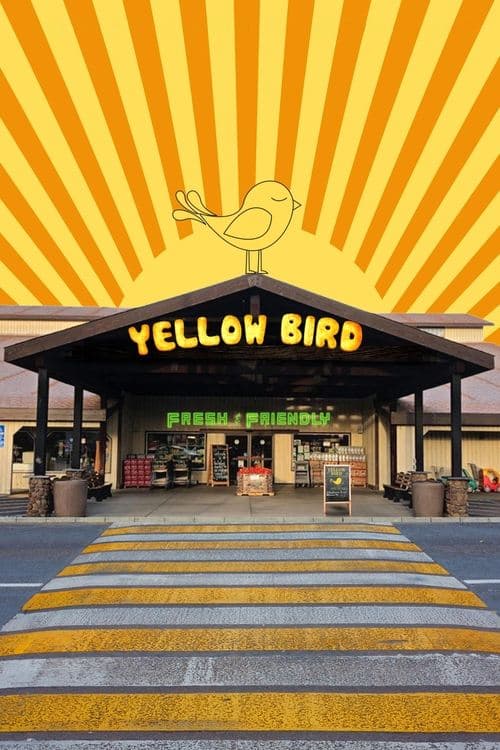 Yellow Bird poster