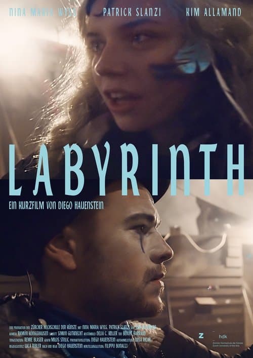 Labyrinth poster