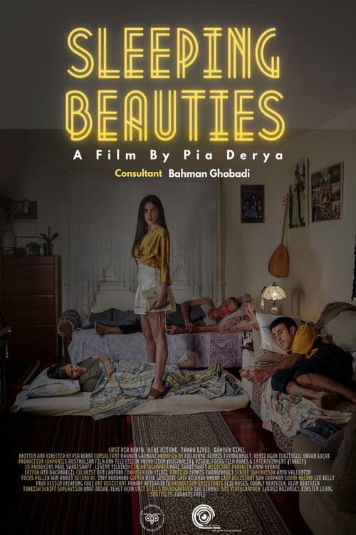 Sleeping Beauties poster