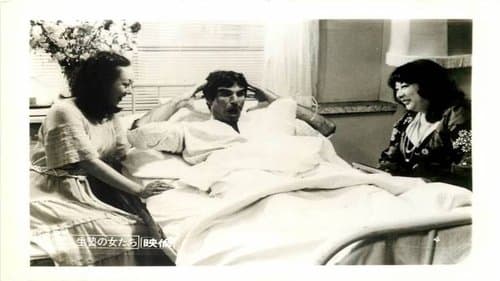 Harry and His Geisha Girls poster