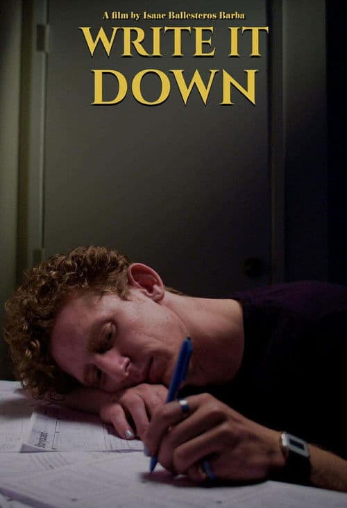 Write It Down poster