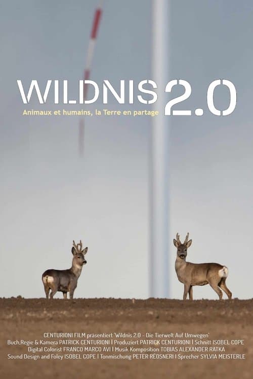 Wildnis 2.0 - Die Tierwelt auf Umwegen poster
