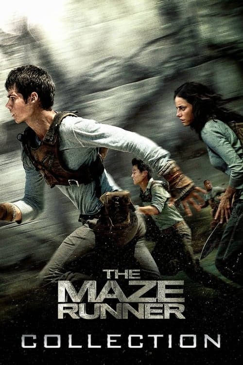 The Maze Runner Collection