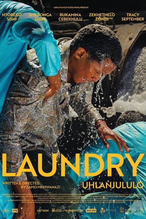 Laundry poster