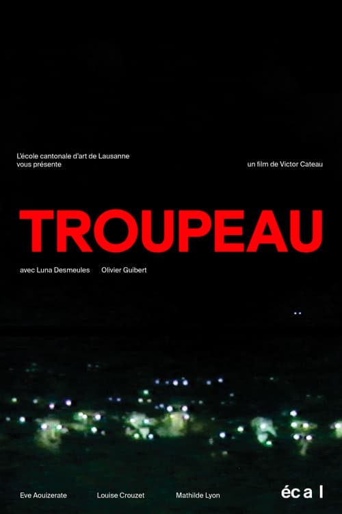 Troupeau poster