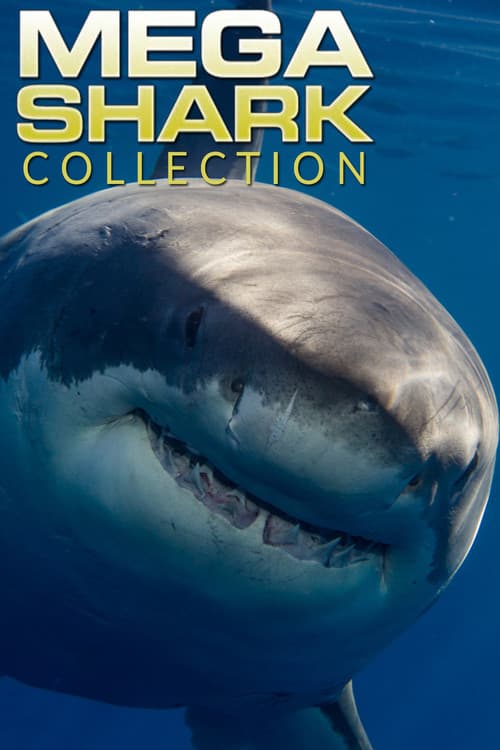 Mega Shark Collection