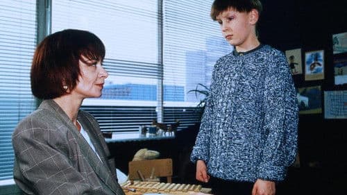 Julian H. entführt – Qualen einer Mutter poster