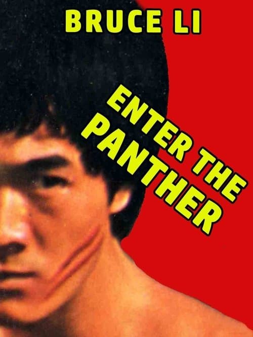 Enter the Panther poster