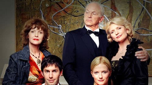 Problemzone Schwiegereltern poster