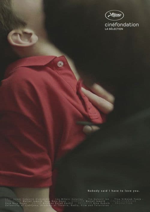 Nobody Said I Have to Love You poster