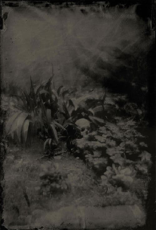 Boogie & Demons poster