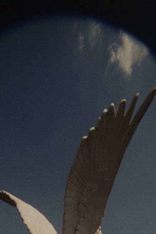 The House, The True One and The One That Follows, Is Yet to be Built poster